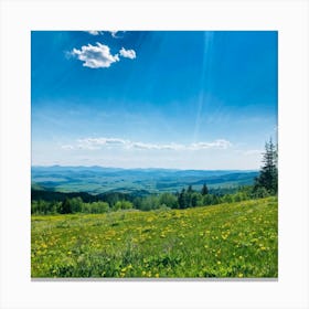 A Panoramic Scene Capturing The Essence Of A Clear Spring Day In Nature Soft Sunlight Filtering Thr (1) Canvas Print