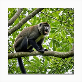 Monkey In A Tree 3 Canvas Print