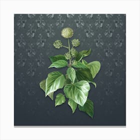 Vintage Common Ivy Botanical on Slate Gray Pattern n.1124 Canvas Print