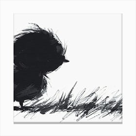 Little Black Duck Canvas Print