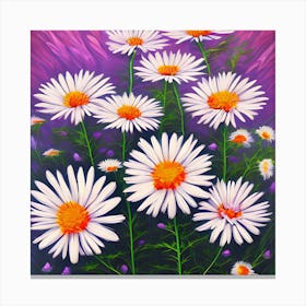 Aster Flowers 8 Canvas Print