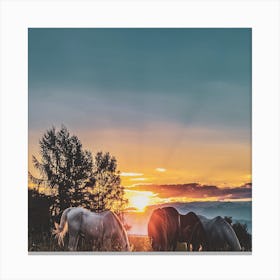 Horses Grazing At Sunset Canvas Print