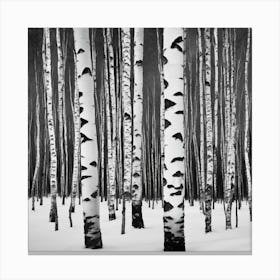 Birch Trees In Winter 1 Canvas Print