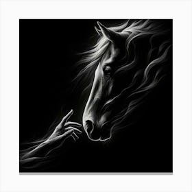 Horse With Hand On Black Background Canvas Print