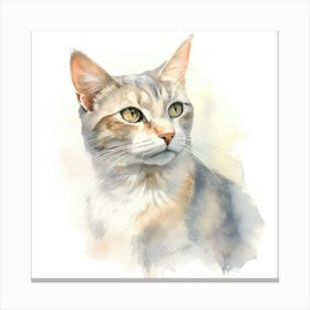Selkirk Cat Portrait 3 Canvas Print