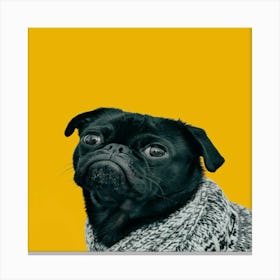 Black Pug On Yellow Background Canvas Print