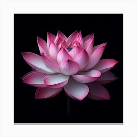 Lotus Flower 8 Canvas Print