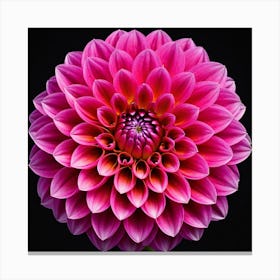 Vibrant pink dahlia flower Canvas Print