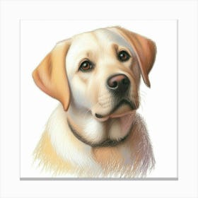 Yellow Labrador Retriever portrait in oil pastel 1 Canvas Print