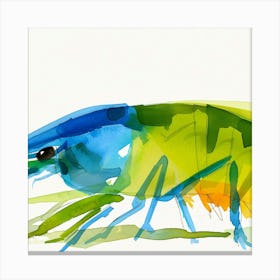 Prawn Canvas Print