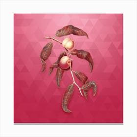 Vintage Peach Botanical in Gold on Viva Magenta 3 Canvas Print