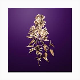 Gold Botanical Persian Lilac on Royal Purple n.3546 Canvas Print