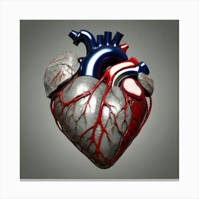 Heart 1 Canvas Print