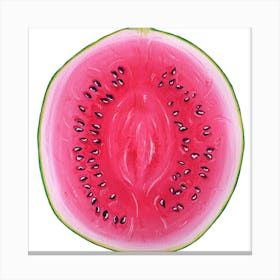 Watermelon Square Canvas Print