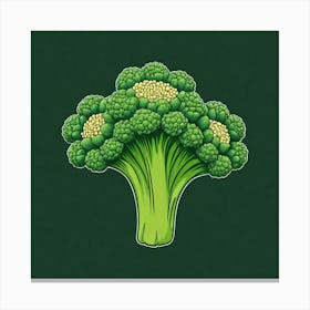 Broccoli 4 Canvas Print