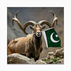 A Majestic Markhor With Coiled Horns And Canvas Print