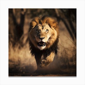 Angry Lion Charging Canvas Print