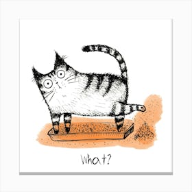 What? 1 Canvas Print