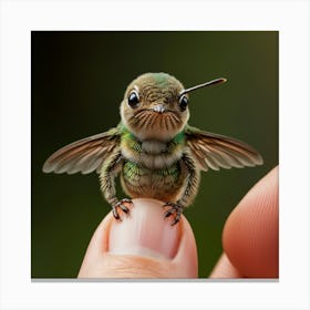 Tiny Hummingbird Canvas Print