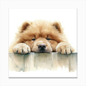 Chow Chow 1 Canvas Print