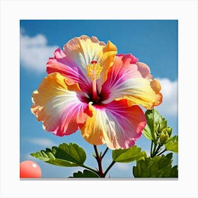 Hibiscus Flower 1 Canvas Print