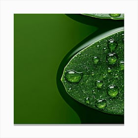 Green Leaves With Water Droplets Canvas Print