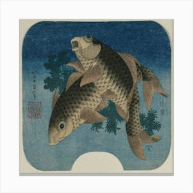 Two Koi Fish Canvas Print