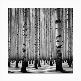 Birch Forest 9 Canvas Print