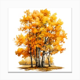 Autumn Trees 1 Canvas Print