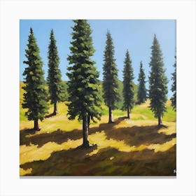 Spruce Trees Forest Canvas Print