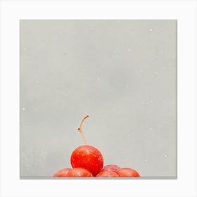 Cherries On Ice Canvas Print