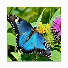 Blue Swallowtail Butterfly 5 Canvas Print