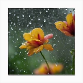 Raindrops On Flowers Canvas Print