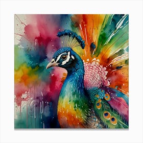 Colorful Peacock Canvas Print