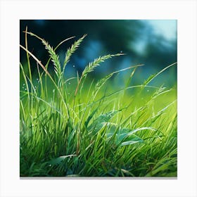 Grass Watercolor Trending On Artstation Sharp Focus Studio Photo Intricate Details Highly Deta Canvas Print