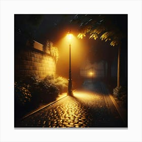 Dark Street At Night Canvas Print