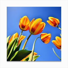 Tulips Against A Blue Sky Canvas Print