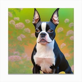 Boston Terrier 69 Canvas Print