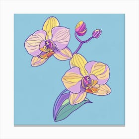 Orchid Flower Canvas Print