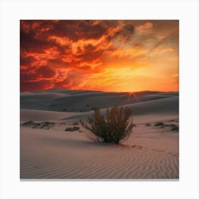 Sunset In The Desert Canvas Print