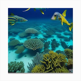 Great Barrier Reef 4 Canvas Print