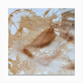 Coffee Splatter Canvas Print