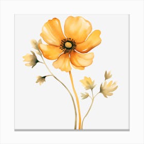 Yellow Poppy 1 Canvas Print