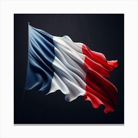 Flag Of France Canvas Print