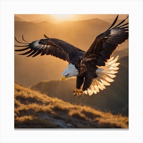 Eagle In Flight 1 Canvas Print