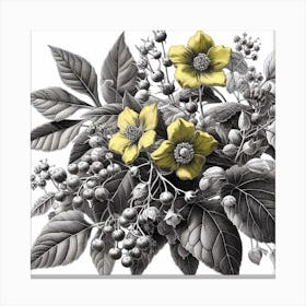  illustration of a leafy plant Canvas Print