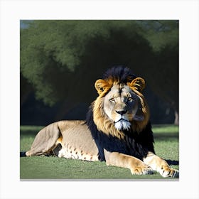 Lion In The Grass 4 Canvas Print