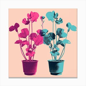 Andy Warhol Style Pop Art Flowers Cyclamen 1 Square Canvas Print