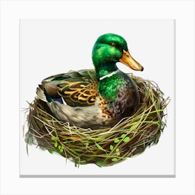 Springtime-Duck-Pond-Clipart.9 Canvas Print