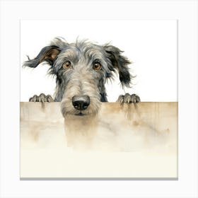 Scottish Deerhound 2 Canvas Print